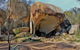 Wave Rock And Pinnacles Air & Ground Tour - thumb 3
