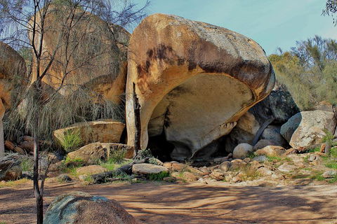 Wave Rock And Pinnacles Air & Ground Tour - Hobart Tourism 3
