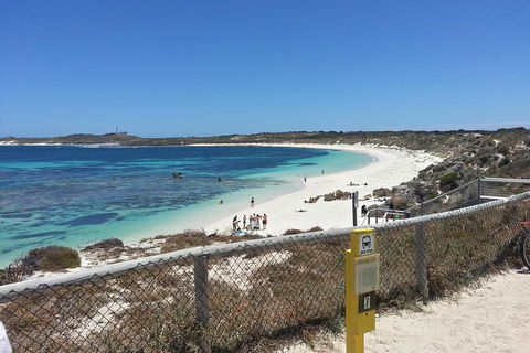 Wave Rock, Pinnacles And Rottnest One Day Aeroplane Tour - Hobart Tourism 2