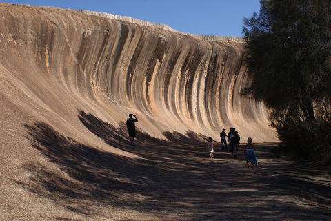 Wave Rock, Pinnacles And Rottnest One Day Aeroplane Tour - Hobart Tourism 4