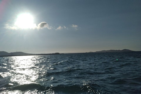 Townsville Small Group Early Morning Sailing Cruise Boat Tour Charter Hire - Hobart Tourism 4