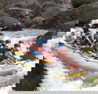 Barron River Half-Day White Water Rafting from Cairns - Hobart Tourism