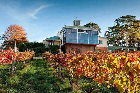Adelaide Hills Food, Wine, Cheese, & Chocolate - Private Day Tour - Tourism TAS 3
