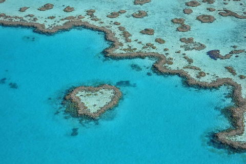 Reef And Island Scenic Flight From Airlie Beach - Tourism TAS 5