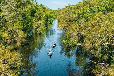 Cruise 'n' Canoe To Australia's Everglades - Tourism TAS 3