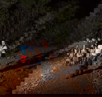 Alice Springs Desert Park Nocturnal Tour - Tourism TAS