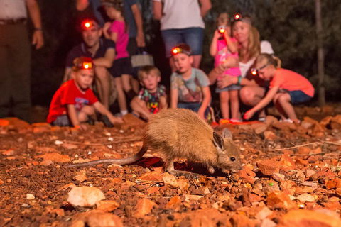 Alice Springs Desert Park Nocturnal Tour - Hobart Tourism 1