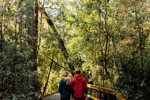 Gordon River Cruise Departing From Strahan - Hobart Tourism 2
