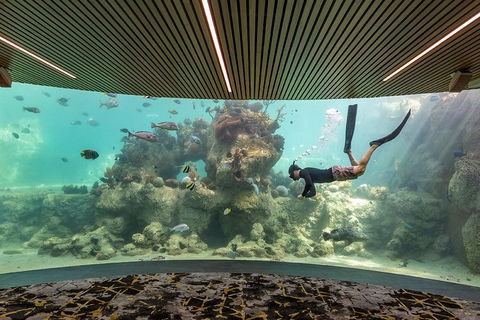 Whitehaven Beach And Daydream Island Cruise - Tourism TAS 4