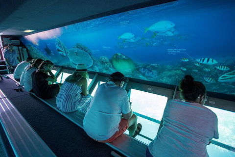 Great Barrier Reef Day Cruise To Reefworld - Tourism TAS 0