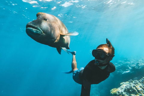 Great Barrier Reef Day Cruise To Reefworld - Tourism TAS 3