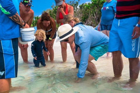 Whitehaven Beach And Hamilton Island Cruise - Hobart Tourism 1