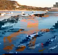 Adventure Moreton Island Wrecks Adventure Package - Tourism TAS