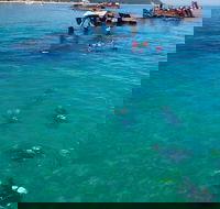 Adventure Moreton Island Scuba Dive Tour - Tourism TAS