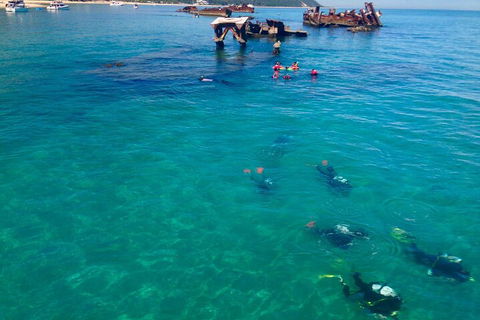 Adventure Moreton Island Scuba Dive Tour - Tourism TAS 0