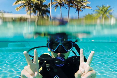 Adventure Moreton Island Scuba Dive Tour - Tourism TAS 2