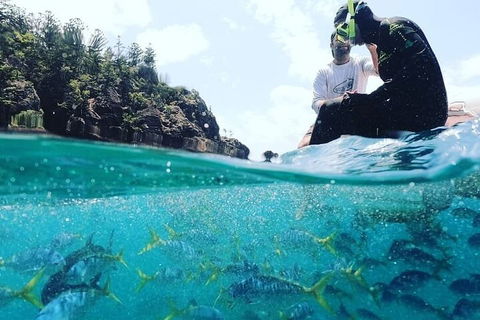 2 Night Small Group Whitsundays Sailing Adventure Aboard Mandrake - Tourism TAS 5