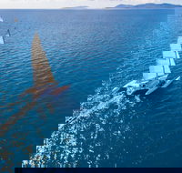 2-Night Whitsunday Islands Sailing Adventure on Trimaran Avatar - Tourism TAS