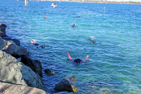 Wave Break Island Scuba Diving On The Gold Coast - Hobart Tourism 1