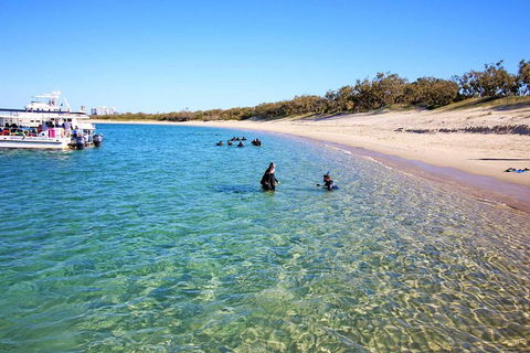 Wave Break Island Scuba Diving On The Gold Coast - Hobart Tourism 4