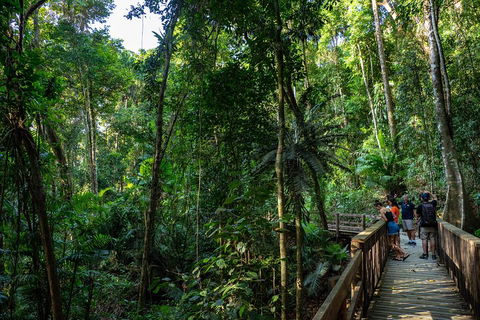 Full Day Daintree Rainforest And Mossman Gorge Tour - Hobart Tourism 5