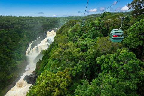 Cairns ATV Adventure Tour And Morning Skyrail - Tourism TAS 3