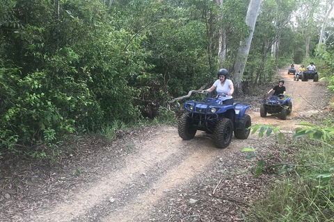 Cairns ATV Adventure Tour And Morning Train - Tourism TAS 0