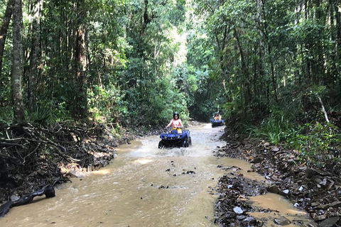 Cairns ATV Adventure Tour And Morning Train - Tourism TAS 1