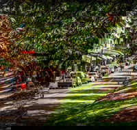 Fully Inclusive Blue Mountains Private Tour inc Scenic World  Featherdale entry - Hobart Tourism