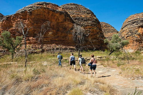 Bungle Bungle Explorer - Hobart Tourism 2