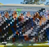 Full Day Mount Tamborine Winery Tour from Gold Coast - Tourism TAS