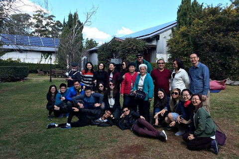 Full Day Mount Tamborine Winery Tour From Brisbane - Tourism TAS 2