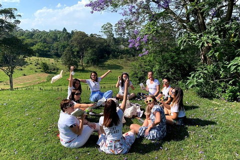 Full Day Mount Tamborine Winery Tour From Brisbane - Tourism TAS 4