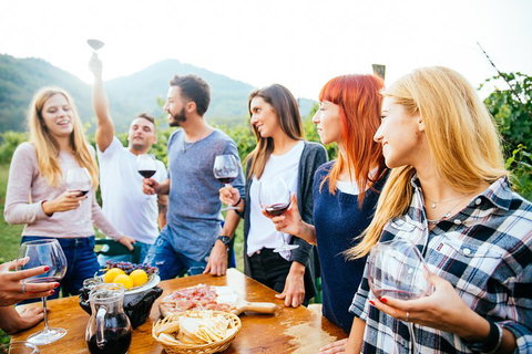 Full Day Mount Tamborine Winery Tour From Brisbane - Tourism TAS 5