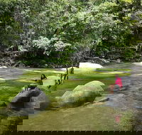 Daintree Dreaming Traditional Aboriginal Fishing from Cairns or Port Douglas - Hobart Tourism