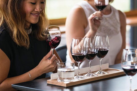Adelaide Hills Regional / Hahndorf German Village Tour - Tourism TAS 5
