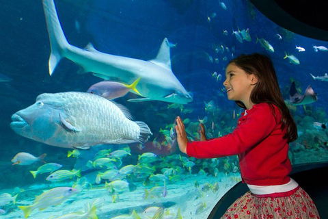 SEA LIFE Melbourne Aquarium Admission Ticket - Hobart Tourism 1