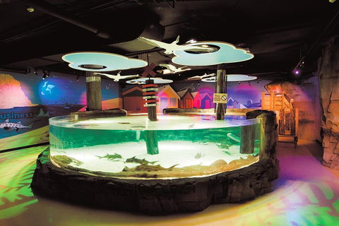 SEA LIFE Melbourne Aquarium Admission Ticket - Hobart Tourism 5