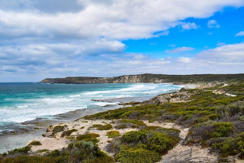 Kangaroo Island Luxury Small Group 'East End Explorer' Full Day Tour - Hobart Tourism 0