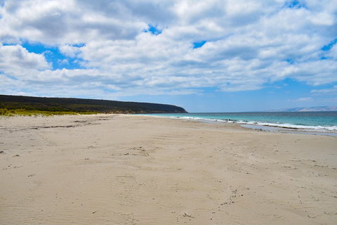 Kangaroo Island Luxury Small Group 'East End Explorer' Full Day Tour - Hobart Tourism 3