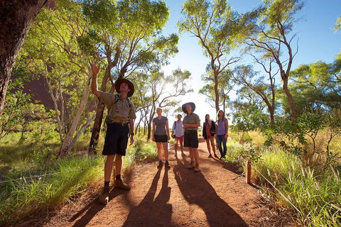 Uluru Small Group Tour Including Sunset - Tourism TAS 0
