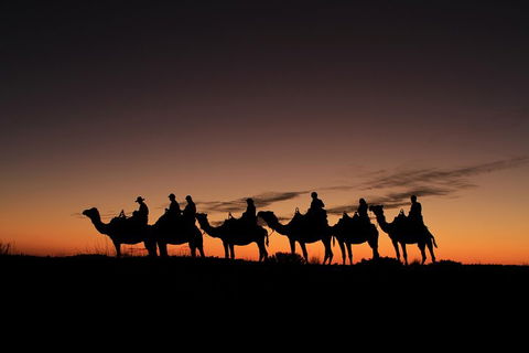 Uluru Small-Group Tour By Camel At Sunrise Or Sunset - Hobart Tourism 4