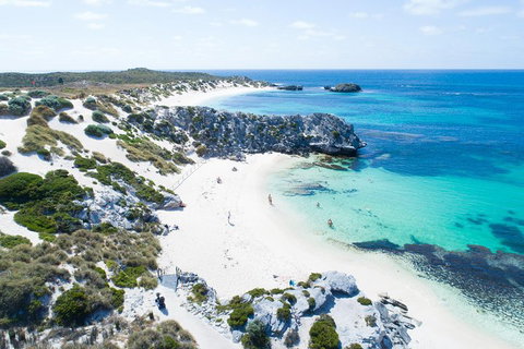 Discover Rottnest With Ferry & Bus Tour From Perth Or Fremantle - Tourism TAS 5