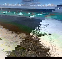 Experience Rottnest with Ferry  Bike Hire from Perth or Fremantle - Hobart Tourism