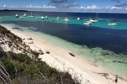 Experience Rottnest With Ferry & Bike Hire From Perth Or Fremantle - Tourism TAS 0