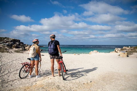 Experience Rottnest With Ferry & Bike Hire From Perth Or Fremantle - Tourism TAS 5