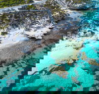 Rottnest Island Round-Trip Ferry from Perth or Fremantle - Hobart Tourism