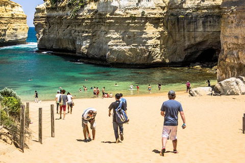 Small-Group Great Ocean Road Classic Day Tour From Melbourne - Hobart Tourism 5