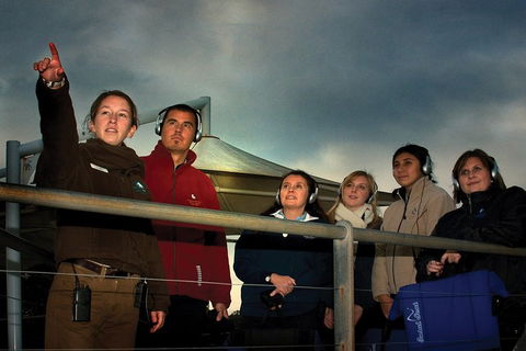 Phillip Island Penguin Parade Express Tour From Melbourne - Hobart Tourism 1