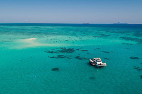 Ocean Freedom Great Barrier Reef Personal Luxury Snorkel & Dive Cruise, Cairns - Hobart Tourism 2